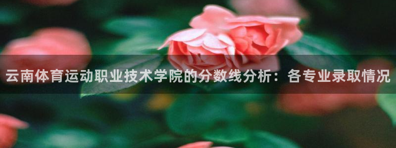 谈球吧：云南体育运动职业技术学院的分数线分析：各专业录取情况