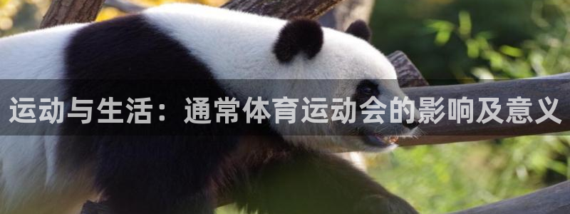 谈球吧体育：运动与生活：通常体育运动会的影响及意义