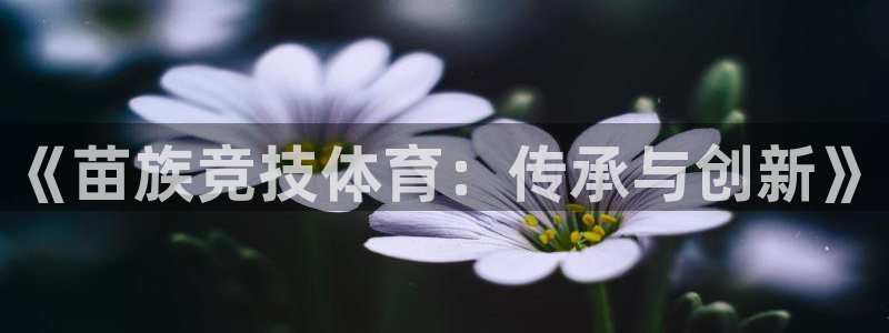 谈球吧：《苗族竞技体育：传承与创新》