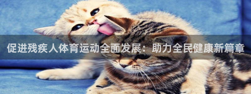 谈球吧：促进残疾人体育运动全面发展：助力全民健康新篇章