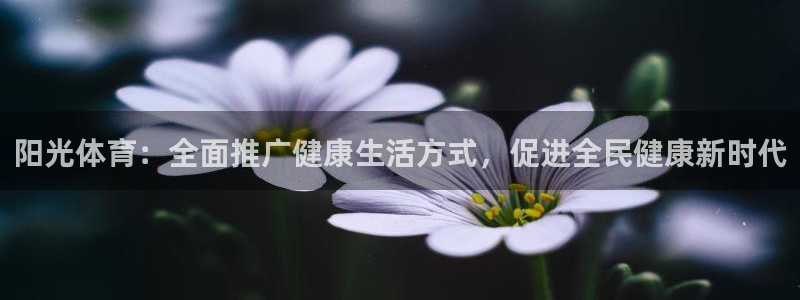 谈球吧体育官网：阳光体育：全面推广健康生活方式，促进全民健康新时代