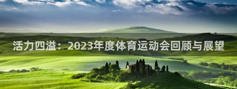 谈球吧体育：活力四溢：2023年度体育运动会回顾与展望
