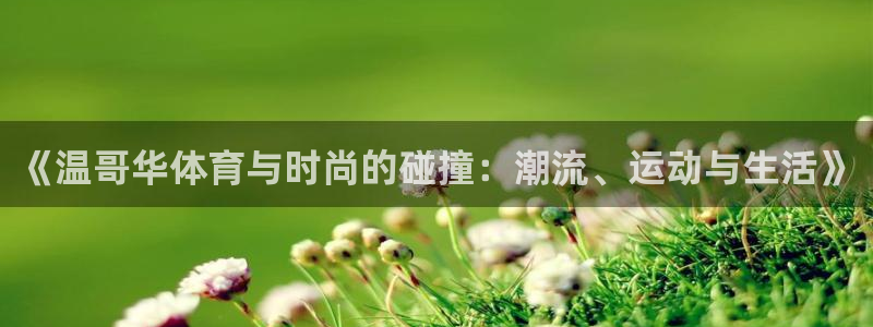 谈球吧：《温哥华体育与时尚的碰撞：潮流、运动与生活》