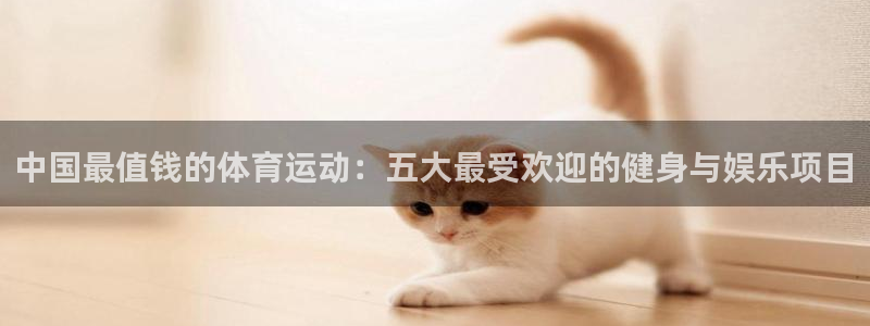谈球吧：中国最值钱的体育运动：五大最受欢迎的健身与娱乐项目
