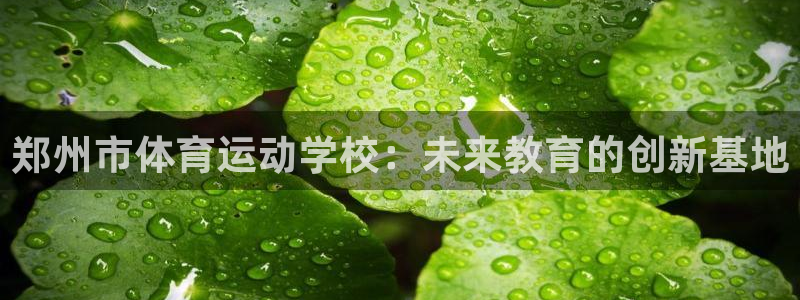 谈球吧体育官网：郑州市体育运动学校：未来教育的创新基地