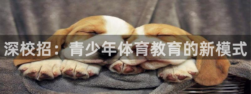谈球吧体育官网：深校招：青少年体育教育的新模式