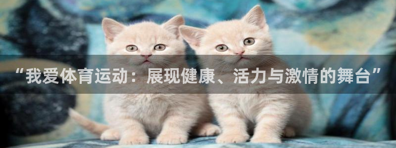 谈球吧：“我爱体育运动：展现健康、活力与激情的舞台”