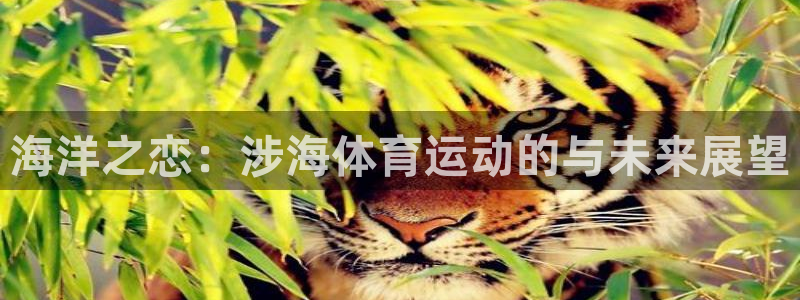 谈球吧体育：海洋之恋：涉海体育运动的与未来展望